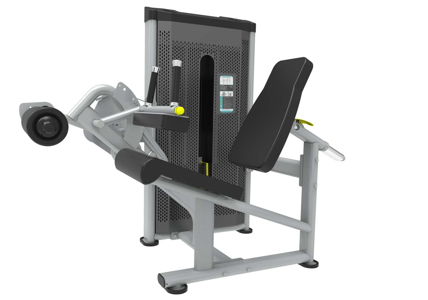 Seated Leg Curl