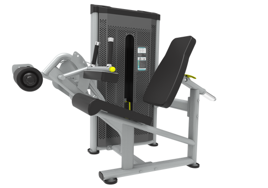 Seated Leg Curl